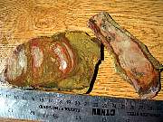 DSCN1727.JPG