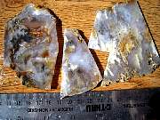 DSCN1736.JPG