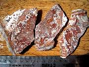 DSCN1737.JPG