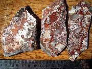 DSCN1739.JPG