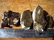 DSCN1745.JPG