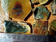 DSCN1754.JPG