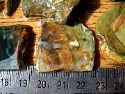 DSCN1758.JPG