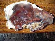 DSCN1760.JPG