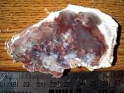 DSCN1761.JPG