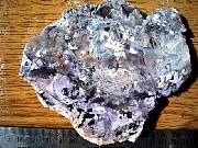 DSCN1763.JPG