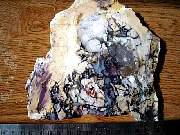 DSCN1772.JPG