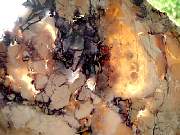 DSCN1776.JPG