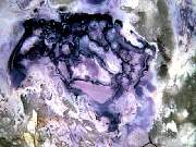 DSCN1778.JPG