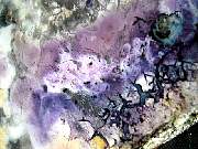 DSCN1780.JPG