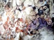 DSCN1791.JPG