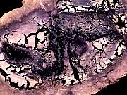 cab_opal-fluorite9-10_01-01.jpg