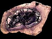 cab_opal-fluorite9-10_01-02.jpg