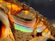 rough_agate-montana-iris9-10_01-01.jpg
