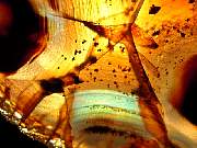 rough_agate-montana-iris9-10_01-05.jpg