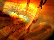 rough_agate-montana-iris9-10_01-06.jpg