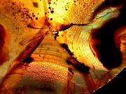 rough_agate-montana-iris9-10_01-07.jpg