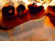rough_agate-montana-iris9-10_01-10.jpg