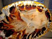 rough_agate-montana-iris9-10_01-11.jpg