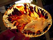 rough_agate-montana-iris9-10_01-13.jpg