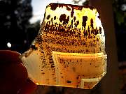 rough_agate-montana-iris9-10_02-05.jpg