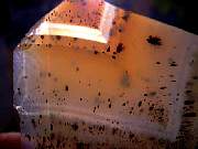 rough_agate-montana-iris9-10_02-07.jpg
