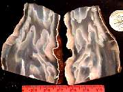 rough_agate-ochoco9-10_01-02.jpg