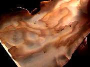 rough_agate-ochoco9-10_01-04.jpg