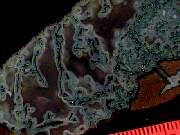 rough_agate-ochoco9-10_02-01.jpg