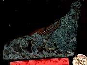 rough_agate-ochoco9-10_02-02.jpg
