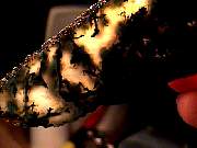 rough_agate-ochoco9-10_02-04.jpg