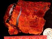 rough_agate-paradise9-10_01-02.jpg
