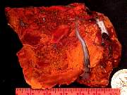 rough_agate-paradise9-10_01-03.jpg