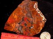rough_agate-priday9-10_01-02.jpg