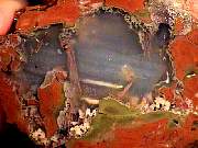 rough_agate-priday9-10_02-01.jpg