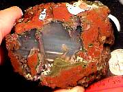 rough_agate-priday9-10_02-02.jpg