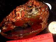 rough_agate-priday9-10_02-03.jpg