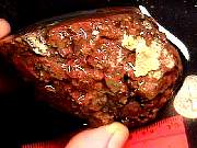 rough_agate-priday9-10_02-04.jpg