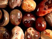 rough_agate-rainflower9-10_01-02.jpg