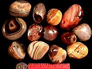 rough_agate-rainflower9-10_01-03.jpg
