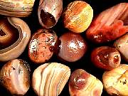 rough_agate-rainflower9-10_01-04.jpg