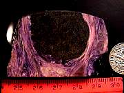rough_charoite9-10_01-02.jpg