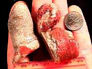 rough_coral-redhorn9-10_01-02.jpg