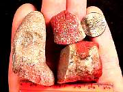rough_coral-redhorn9-10_01-03.jpg
