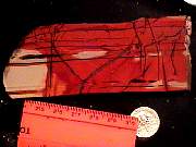 rough_jasper-indian9-10_01-03.jpg