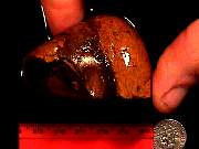 rough_jasper-sahara9-10_01-03.jpg