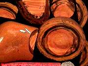rough_jasper-sahara9-10_02-01.jpg