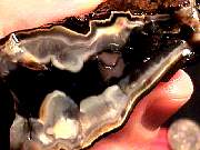 rough_jasper-tahoma9-10_01-01.jpg