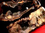 rough_jasper-tahoma9-10_01-02.jpg