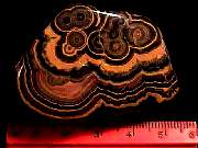 rough_onyx-flower9-10_01-02.jpg